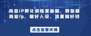 商业IP孵化训练营新版,教你做商业Ip,做好人设,流量搞好钱-水滴知识网