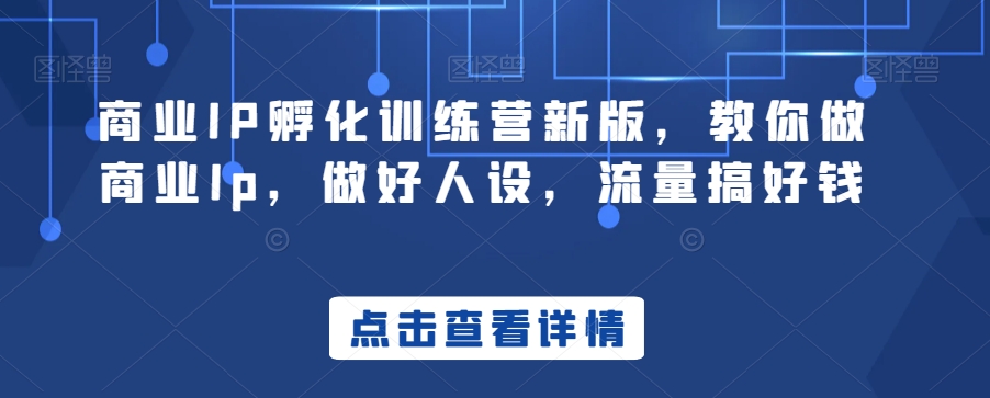 商业IP孵化训练营新版,教你做商业Ip,做好人设,流量搞好钱-水滴知识网