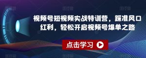 视频号短视频实战特训营,踩准风口红利,轻松开启视频号爆单之路-水滴知识网