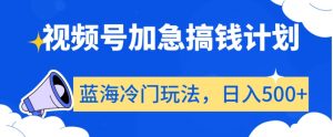 视频号加急搞钱计划，蓝海冷门玩法，日入500+【揭秘】-水滴知识网