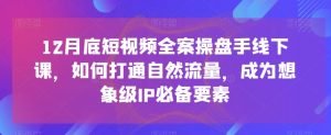 12月底短视频全案操盘手线下课,如何打通自然流量,成为想象级IP必备要素-水滴知识网