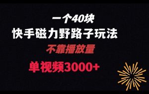 一个40块，快手联合美团磁力新玩法，无视机制野路子玩法，单视频收益4位数【揭秘】-水滴知识网