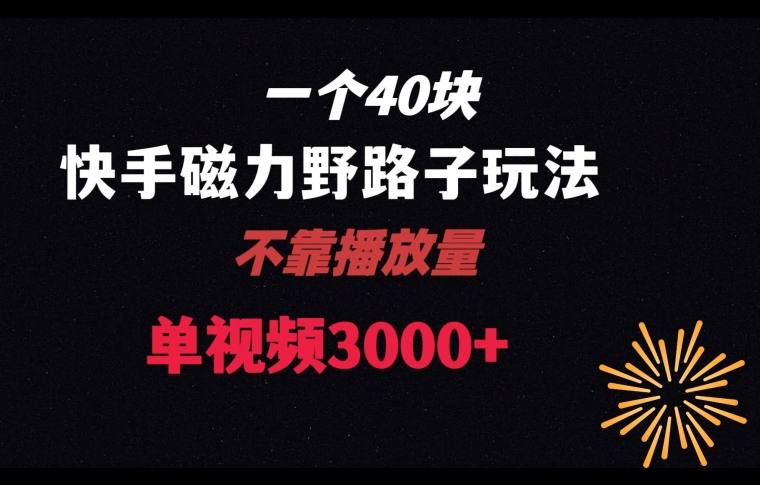 一个40块,快手联合美团磁力新玩法,无视机制野路子玩法,单视频收益4位数【揭秘】-水滴知识网