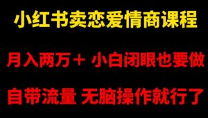 小红书卖恋爱情商课程,月入两万+,小白闭眼也要做,自带流量,无脑操作就行了【揭秘】-水滴知识网