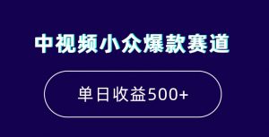中视频小众爆款赛道，7天涨粉5万+，小白也能无脑操作，轻松月入上万【揭秘】-水滴知识网