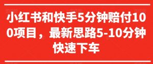 小红书和快手5分钟赔付100项目，最新思路5-10分钟快速下车【仅揭秘】-水滴知识网
