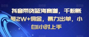抖音带货蓝海赛道，千粉账号2W+佣金，暴力出单，小白1小时上手【揭秘】-水滴知识网