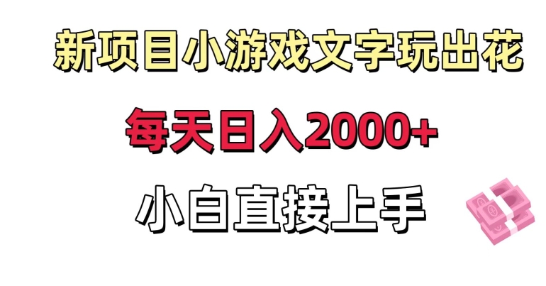 新项目小游戏文字玩出花日入2000+,每天只需一小时,小白直接上手【揭秘】-水滴知识网