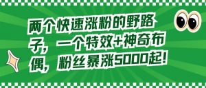 两个快速涨粉的野路子,一个特效+神奇布偶,粉丝暴涨5000起【揭秘】-水滴知识网