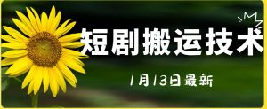 最新短剧搬运技术，电脑手机都可以操作，不限制机型-水滴知识网