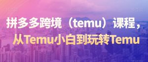 拼多多跨境(temu)课程,从Temu小白到玩转Temu-水滴知识网