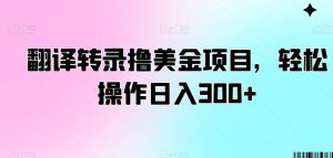 翻译转录撸美金项目,轻松操作日入300+【揭秘】-水滴知识网