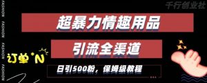 最新情趣项目引流全渠道,自带高流量,保姆级教程,轻松破百单,日引500+粉【揭秘】-水滴知识网