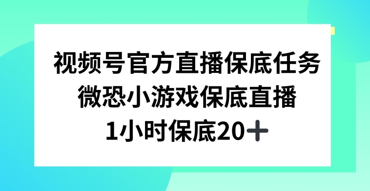 视频号直播任务,微恐小游戏,1小时20+【揭秘】-水滴知识网