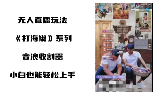 打海椒无人直播整蛊项目,小白轻松上手撸音浪收割器-水滴知识网
