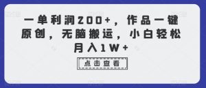 一单利润200+，作品一键原创，无脑搬运，小白轻松月入1W+【揭秘】-水滴知识网