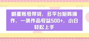 明星账号带货，多平台矩阵操作，一条作品收益500+，小白轻松上手【揭秘】-水滴知识网