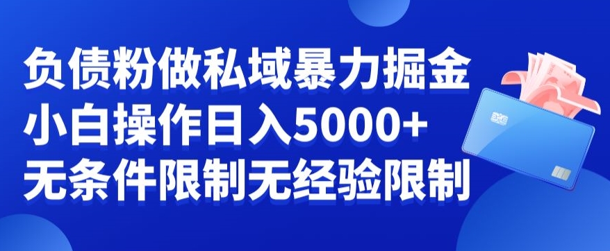 负债粉私域暴力掘金,小白操作入5000,无经验限制,无条件限制【揭秘】-水滴知识网