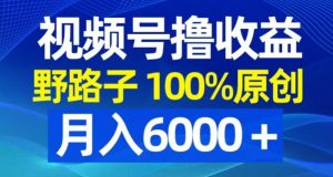 视频号野路子撸收益，100%原创，条条爆款，月入6000＋【揭秘】-水滴知识网