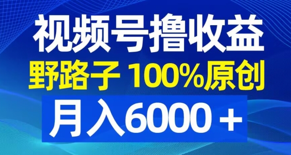 视频号野路子撸收益，100%原创，条条爆款，月入6000＋【揭秘】-水滴知识网