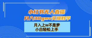 小红书无人直播月入30gmv实操教学,月入上w不是梦,小白轻松上手【揭秘】-水滴知识网