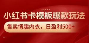 小红书卡模板爆款玩法，售卖情趣内衣，日盈利500+【揭秘】-水滴知识网