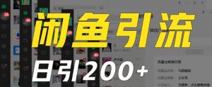 外面收费6980闲鱼引流法,日引200+创业粉,每天稳定2000+收益,保姆级教程(适合居家创业)-水滴知识网