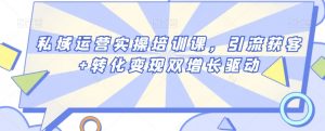 私域运营实操培训课,引流获客+转化变现双增长驱动-水滴知识网