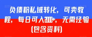 负债粉私域转化,可卖教程,每日可入2000+,无需经验(包含资料)【揭秘】-水滴知识网