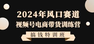 2024年风口赛道视频号电商带货训练营搞钱特训班,带领大家快速入局自媒体电商带货-水滴知识网