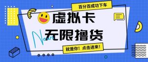 虚拟卡无限撸货，百分百成功下车【仅揭秘】-水滴知识网