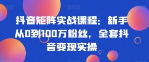 抖音矩阵实战课程:新手从0到100万粉丝,全套抖音变现实操-水滴知识网