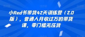 小Red书带货42天训练营（2.0版），普通人月收过万的带货课，零门槛无压货-水滴知识网