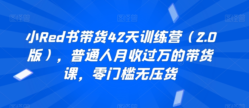 小Red书带货42天训练营（2.0版），普通人月收过万的带货课，零门槛无压货-水滴知识网