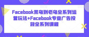 Facebook菜鸟到老鸟全系列运营玩法+Facebook专业广告投放全系列课程-水滴知识网