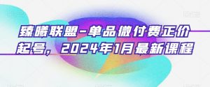 臻曦联盟-单品微付费正价起号，2024年1月最新课程-水滴知识网
