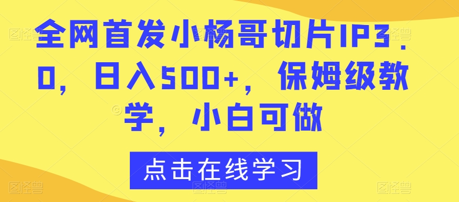 全网首发小杨哥切片IP3.0，日入500+，保姆级教学，小白可做【揭秘】-水滴知识网