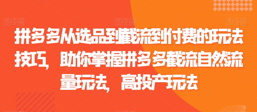 拼多多从选品到截流到付费的玩法技巧，助你掌握拼多多截流自然流量玩法，高投产玩法-水滴知识网