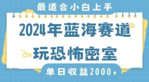 2024年蓝海赛道玩恐怖密室日入2000+,无需露脸,不要担心不会玩游戏,小白直接上手,保姆式教学【揭秘】-水滴知识网