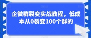 企微群裂变实战教程,低成本从0裂变100个群的-水滴知识网