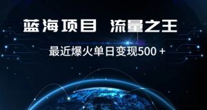 好评返现项目，稳定，小白速学月入过万【仅揭秘】-水滴知识网