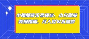 中视频音乐号项目：小白副业变现指南，月入过W不是梦【揭秘】-水滴知识网