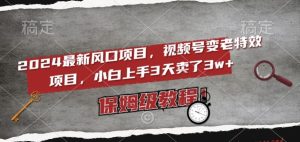 2024最新风口项目,视频号变老特效项目,电脑小白上手3天卖了3w+,保姆级教程【揭秘】-水滴知识网