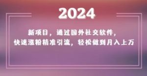 2024新项目,通过国外社交软件,快速涨粉精准引流,轻松做到月入上万【揭秘】-水滴知识网