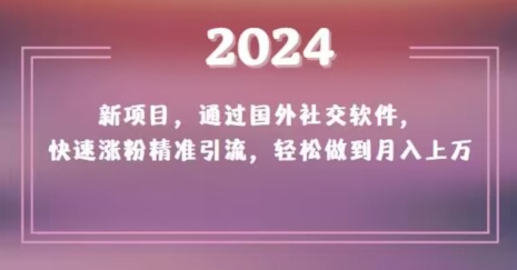 2024新项目,通过国外社交软件,快速涨粉精准引流,轻松做到月入上万【揭秘】-水滴知识网