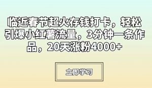临近春节超火存钱打卡,轻松引爆小红薯流量,3分钟一条作品,20天涨粉4000+【揭秘】-水滴知识网
