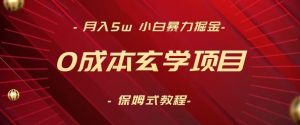 月入5w+，小白暴力掘金，0成本玄学项目，保姆式教学（教程+软件）【揭秘】-水滴知识网