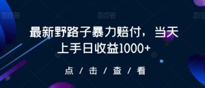 最新野路子暴力赔付，当天上手日收益1000+【仅揭秘】-水滴知识网