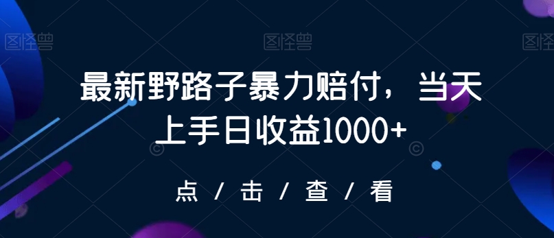 最新野路子暴力赔付，当天上手日收益1000+【仅揭秘】-水滴知识网