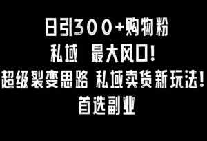 日引300+购物粉，超级裂变思路，私域卖货新玩法，小红书首选副业【揭秘】-水滴知识网